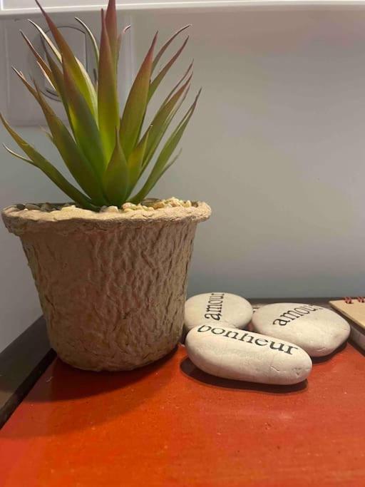 Le Joffre - Cosy Center 3 Min Walk Palais Des Festivals Appartement Cannes